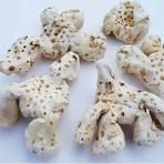 Orris Root