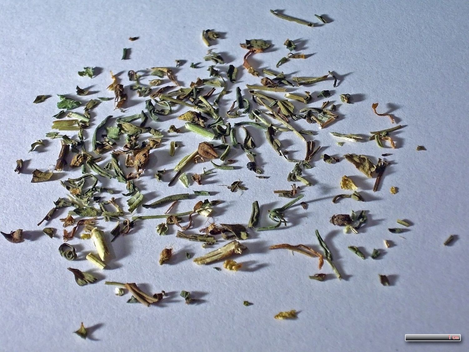 Ritual Herbs