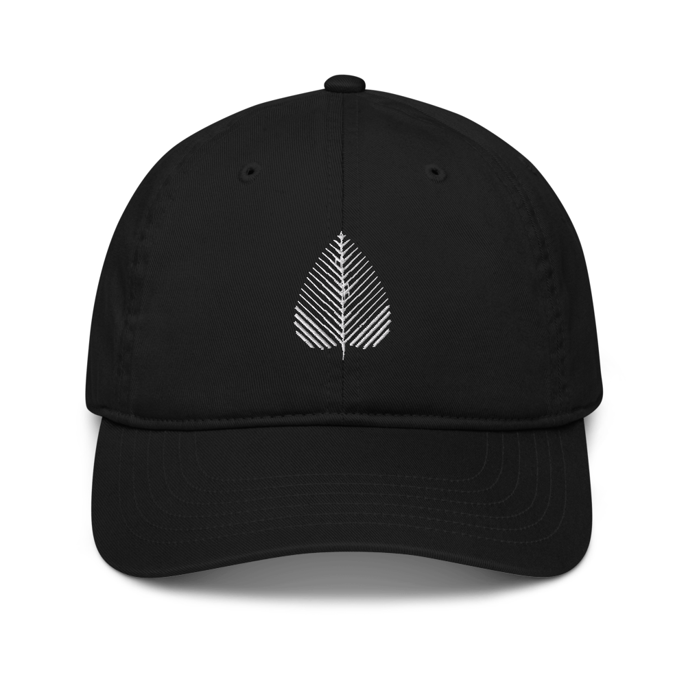 Organic dad hat