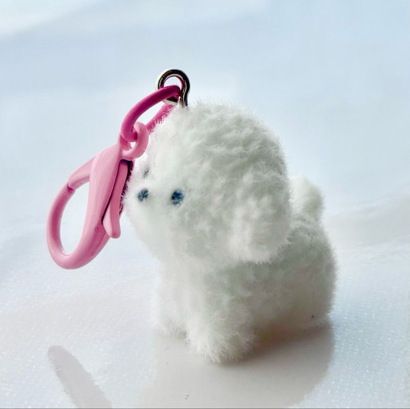 Fluffy puppy
