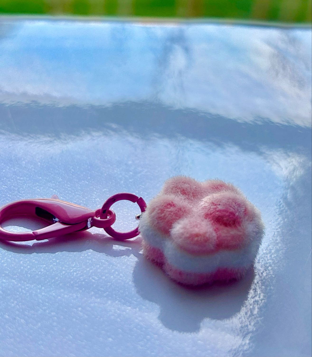 Kitty Paw