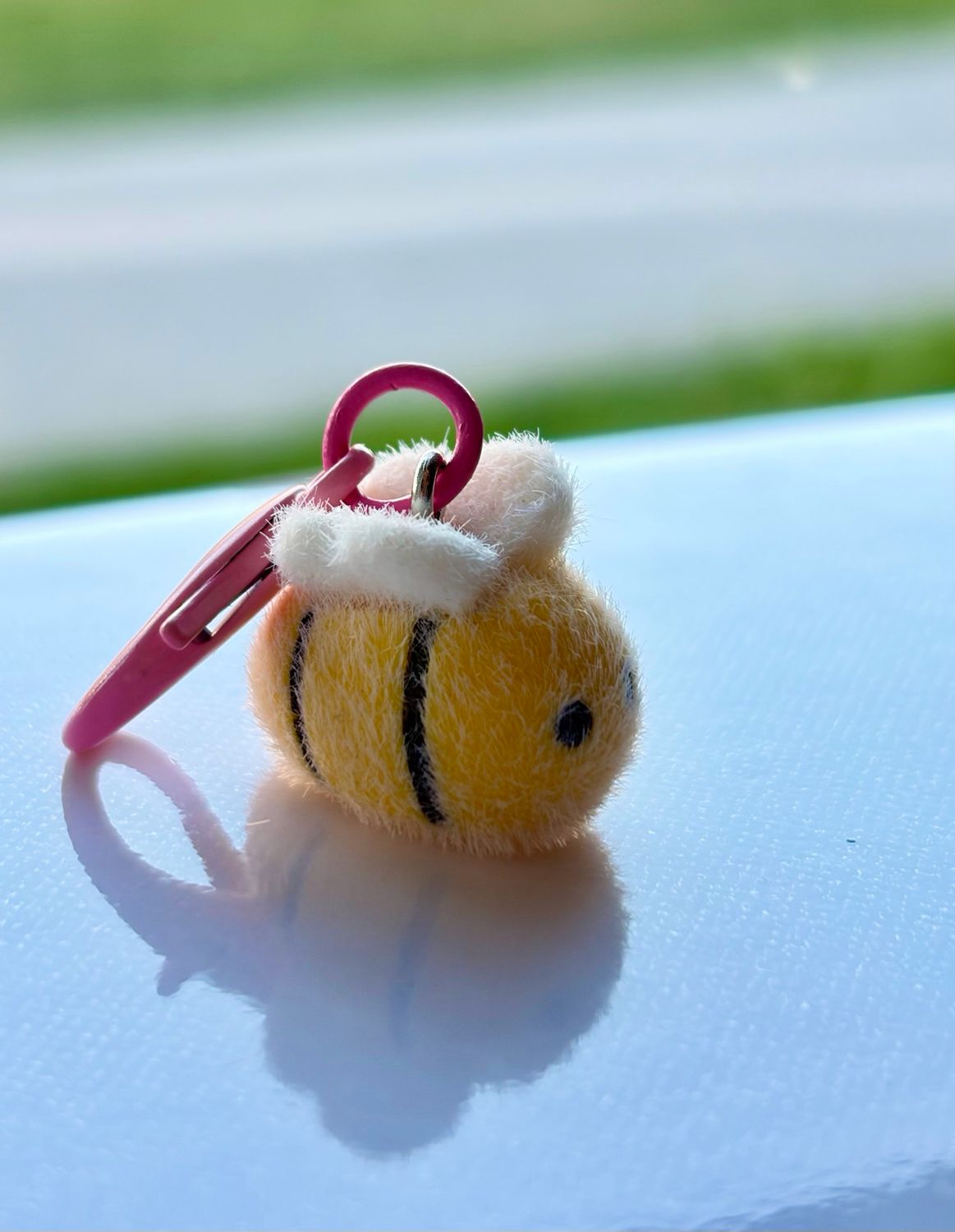 Fuzzy Bee Fuzzy Bee