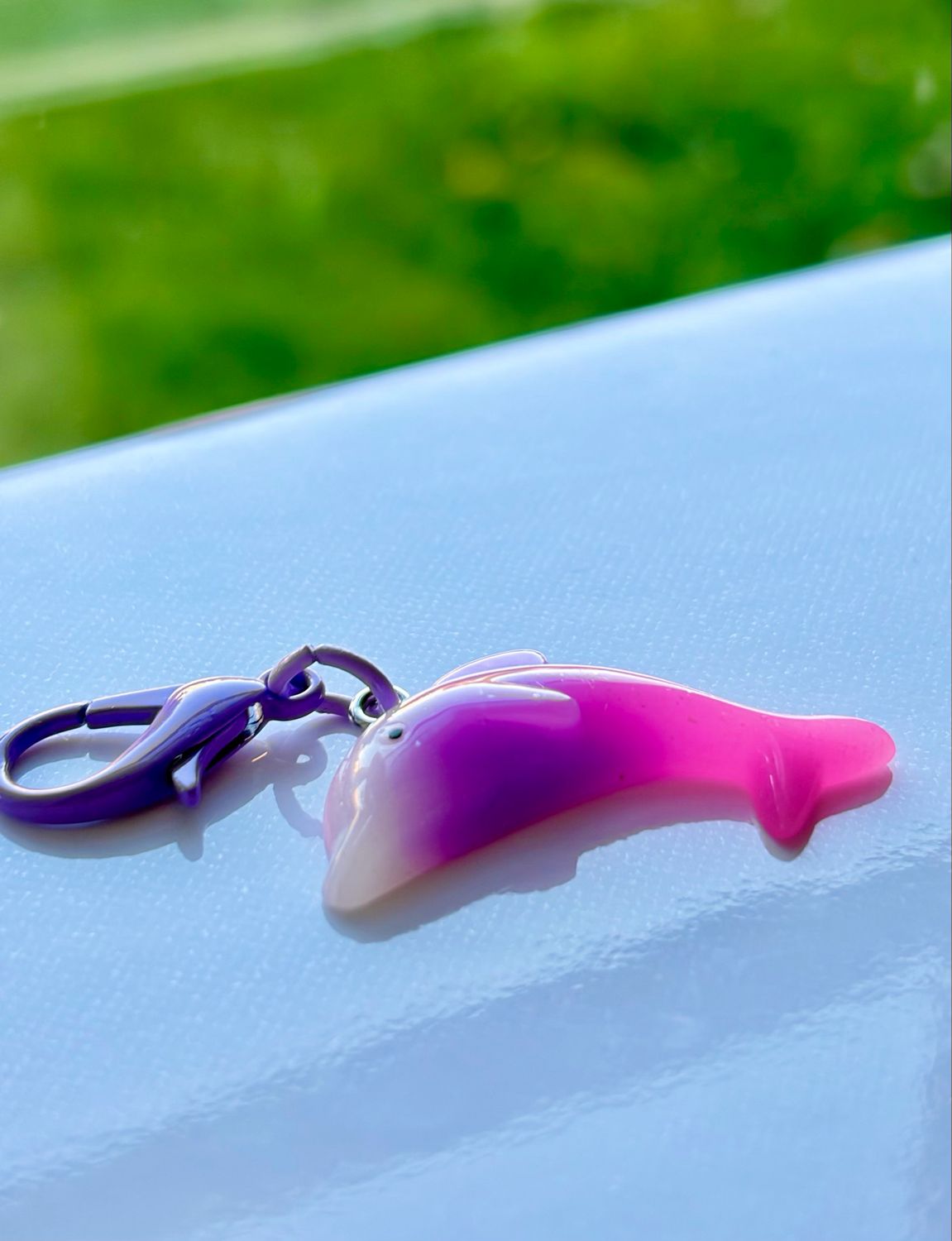 Dolphin Dolphin