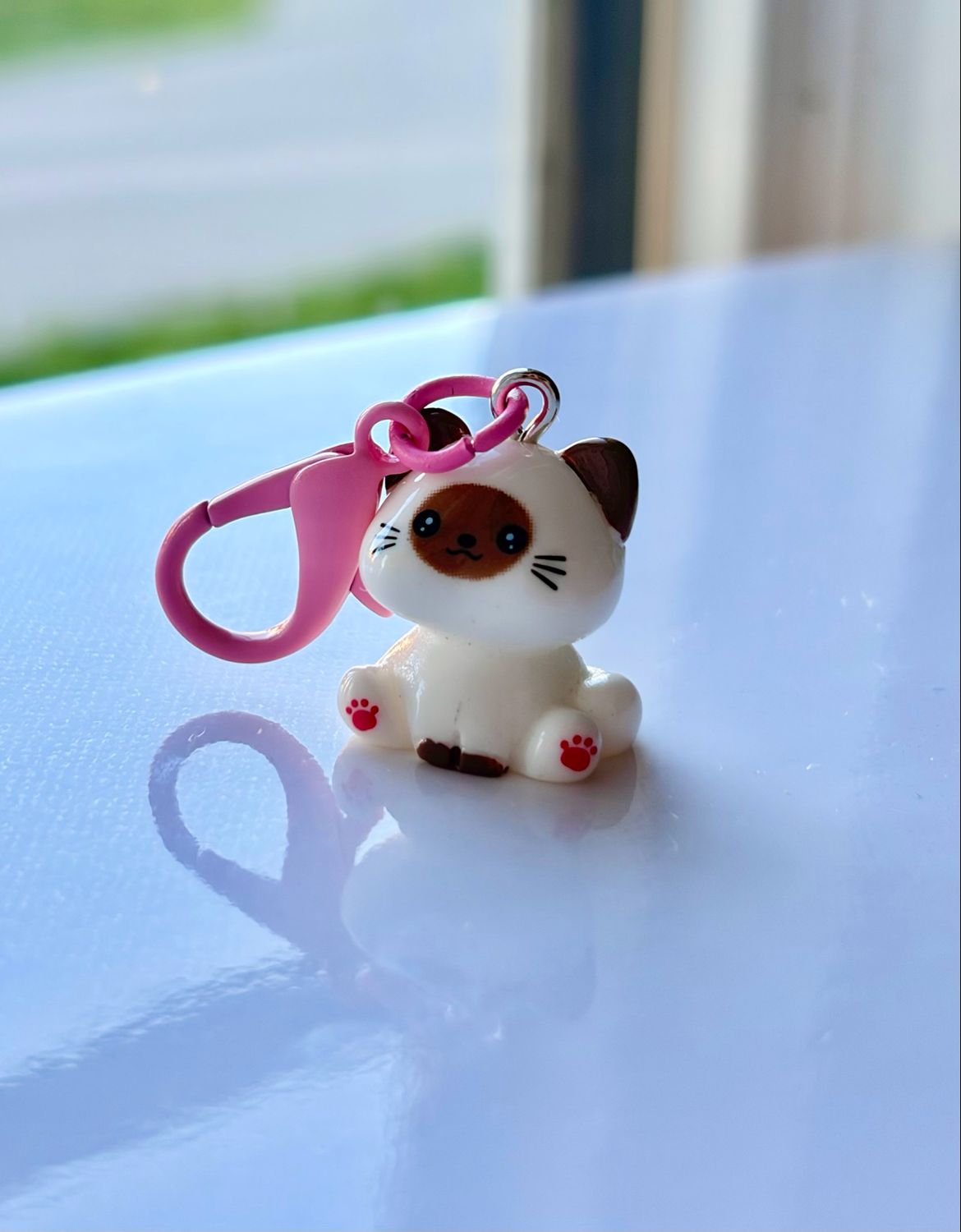 Kitty Kitty