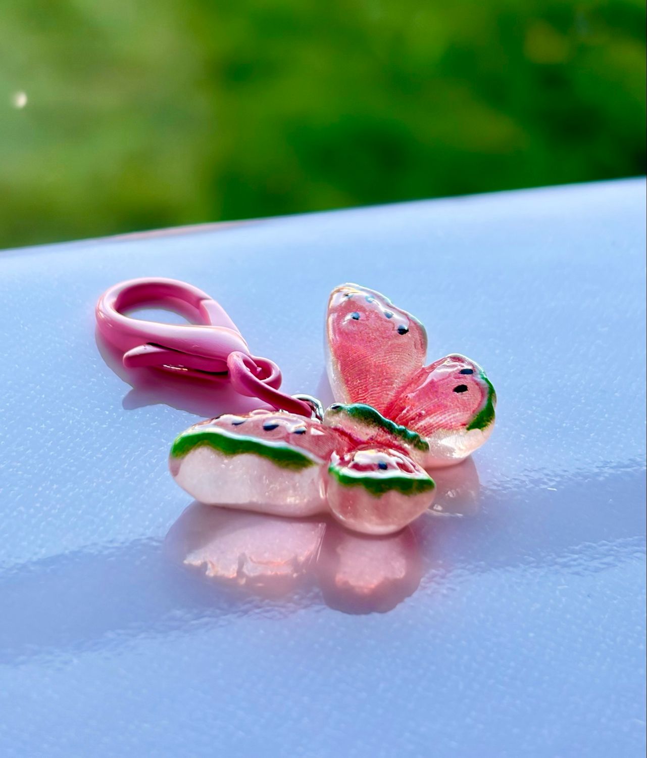 Watermelon Butterfly Watermelon Butterfly