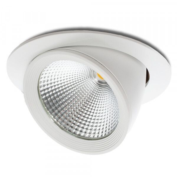 DownLight Basculante