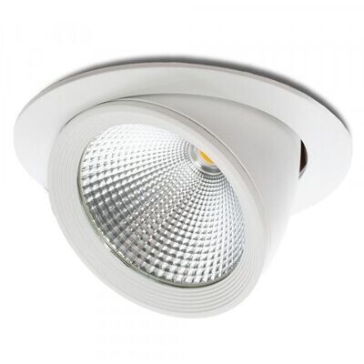 DownLight Basculante
