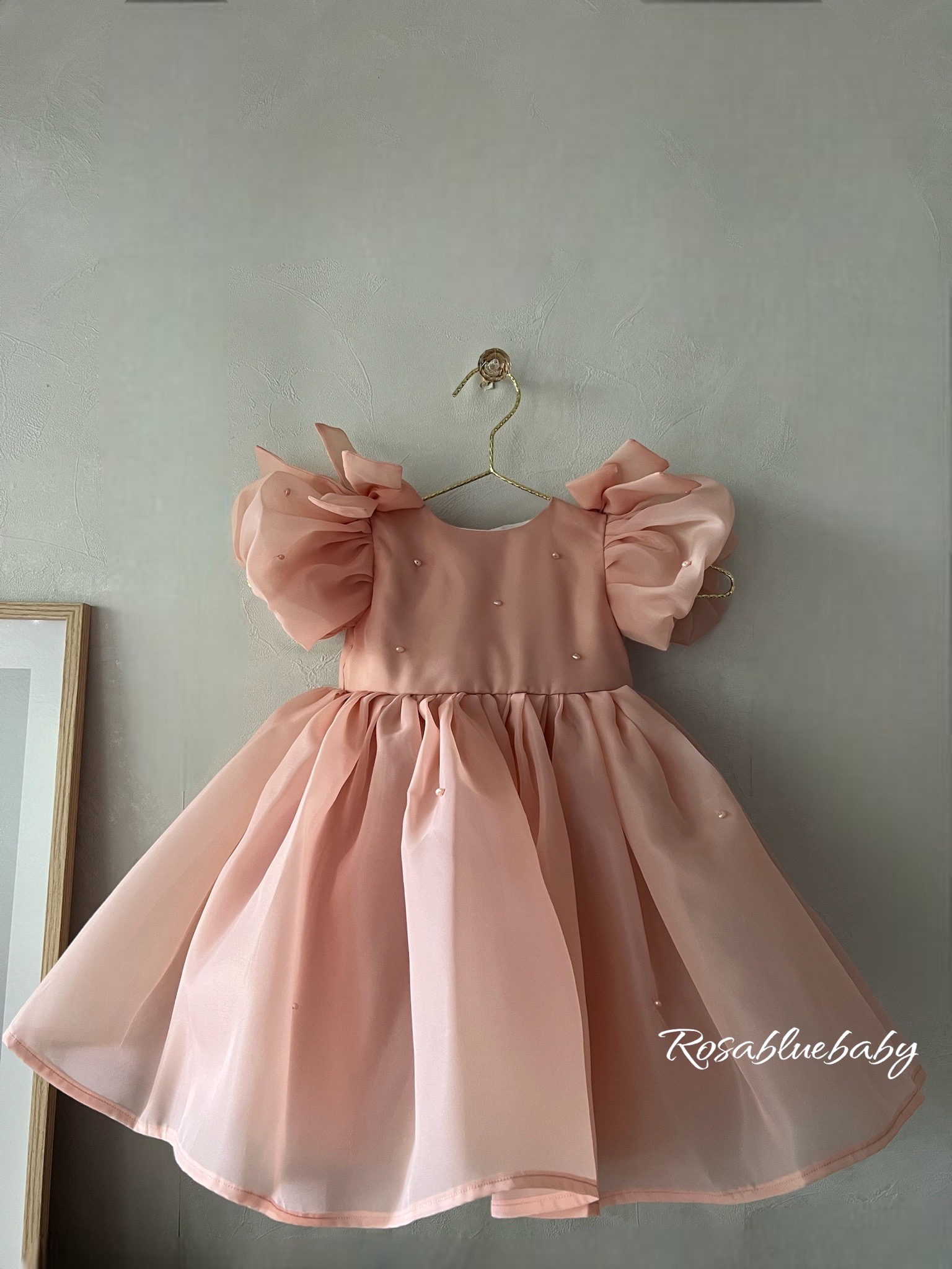 Robe cérémonie bebe fille Cinderella en Organza avec Broderies en perles 