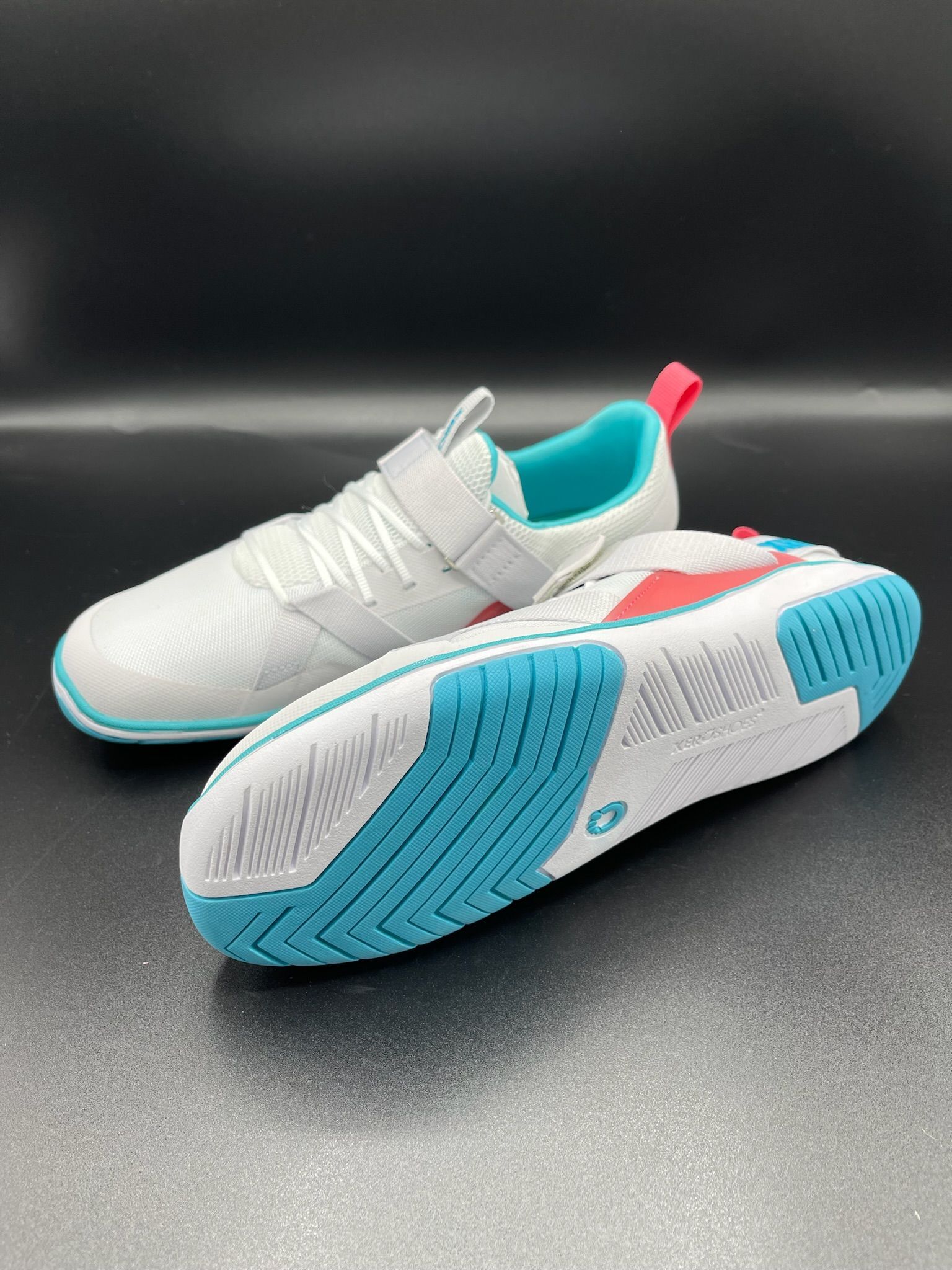 XERO | Forza | Trainer