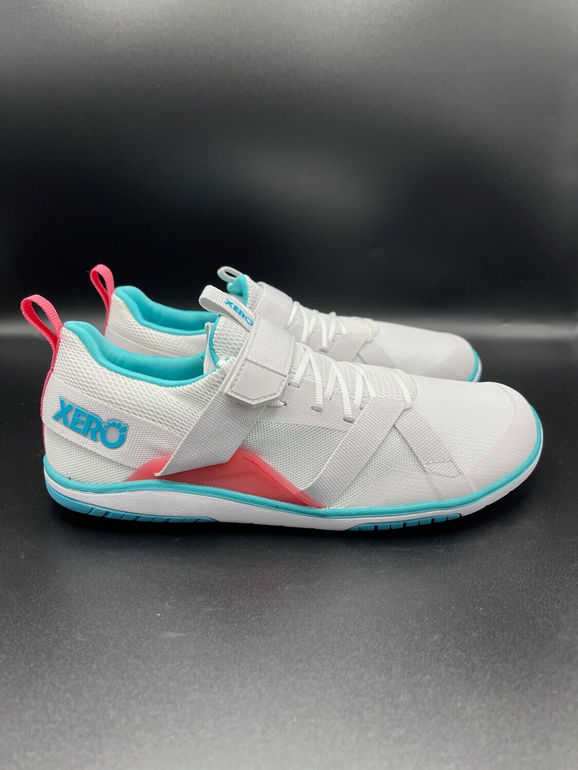 XERO | Forza | Trainer