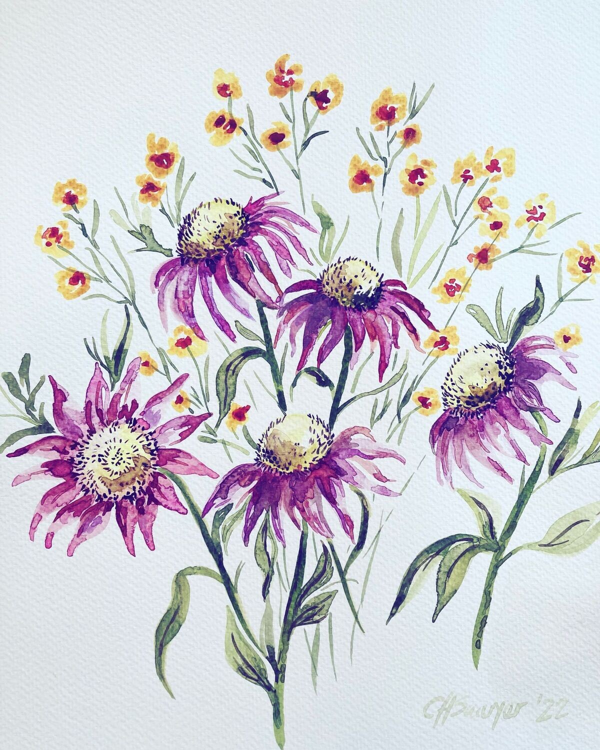 “Dancing Coneflowers” Print, 8 x 10