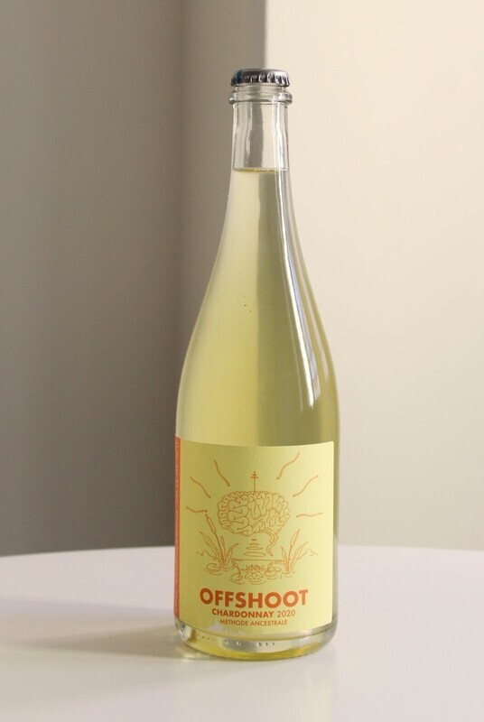 HEAPS GOOD WINE - Offshoot Chardonnay Pet Nat 2020