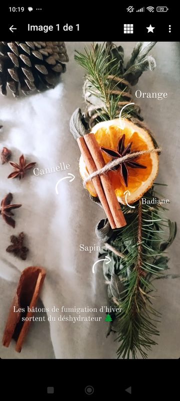 Bâton de fumigation