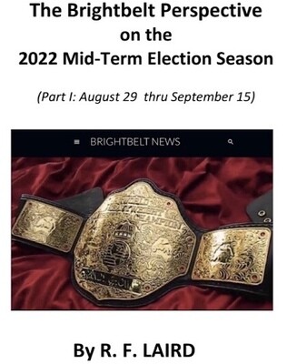 Brightbelt Election Perspectives