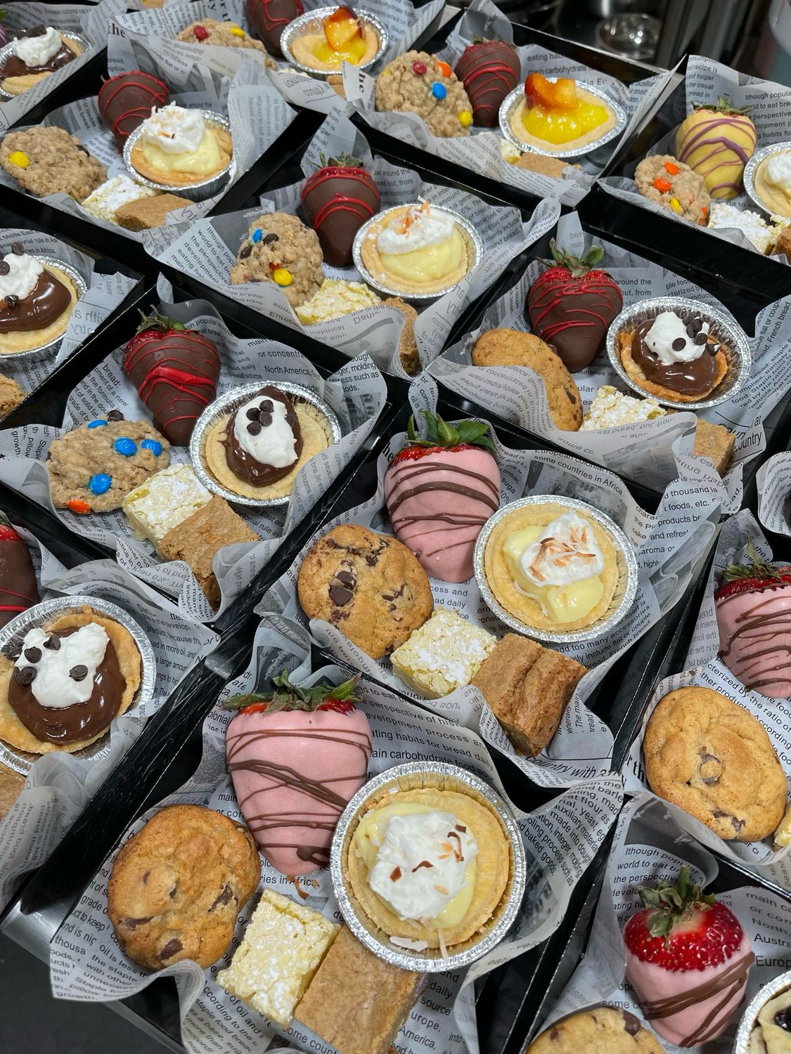 Treat Boxes (personal size)