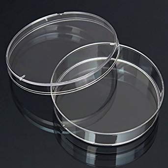 Petri Dish 90mm, Sterile (500/pk)