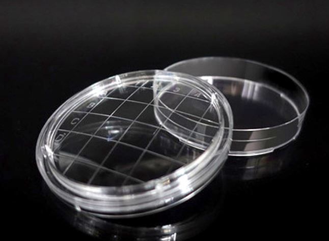 Contact Plate 55mm, Sterile (300/pk)