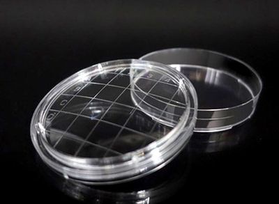 Contact Plate 55mm, Sterile (300/pk)