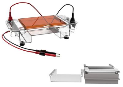 Gel Electrophoresis System (horizontal) ET-H03
