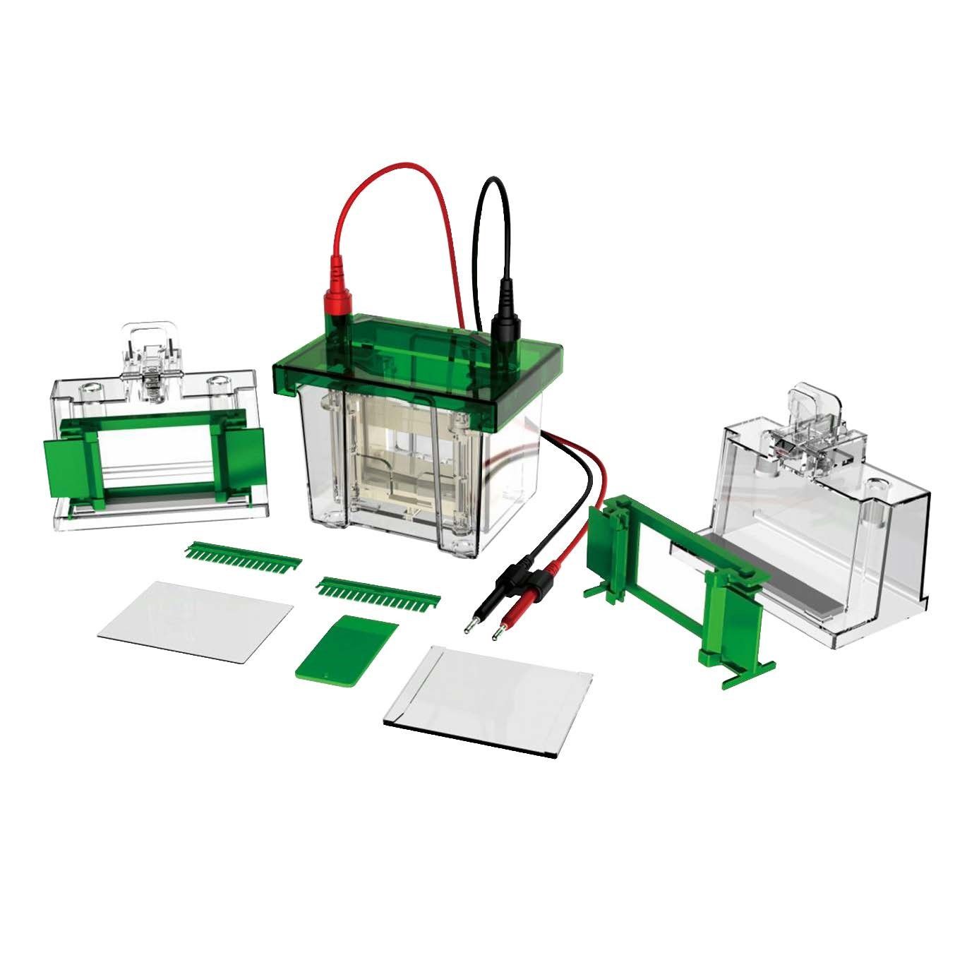 Gel Electrophoresis System (vertical) ET-V01