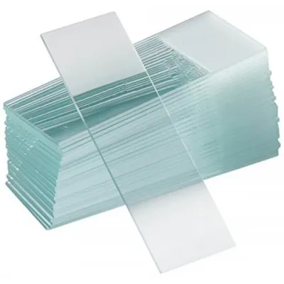 Microscope Slide, Single Frosted LABOCARE (50/pk)