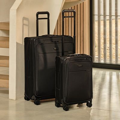 Checked Luggage
