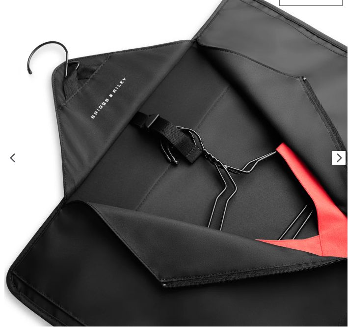 Briggs and Riley Travel Essentials Check-in Garment Sleeve, color: Black