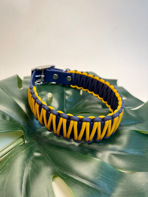 Biothane-Halsband mit Paracord - Blau/Gelb/Blau