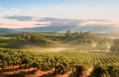California