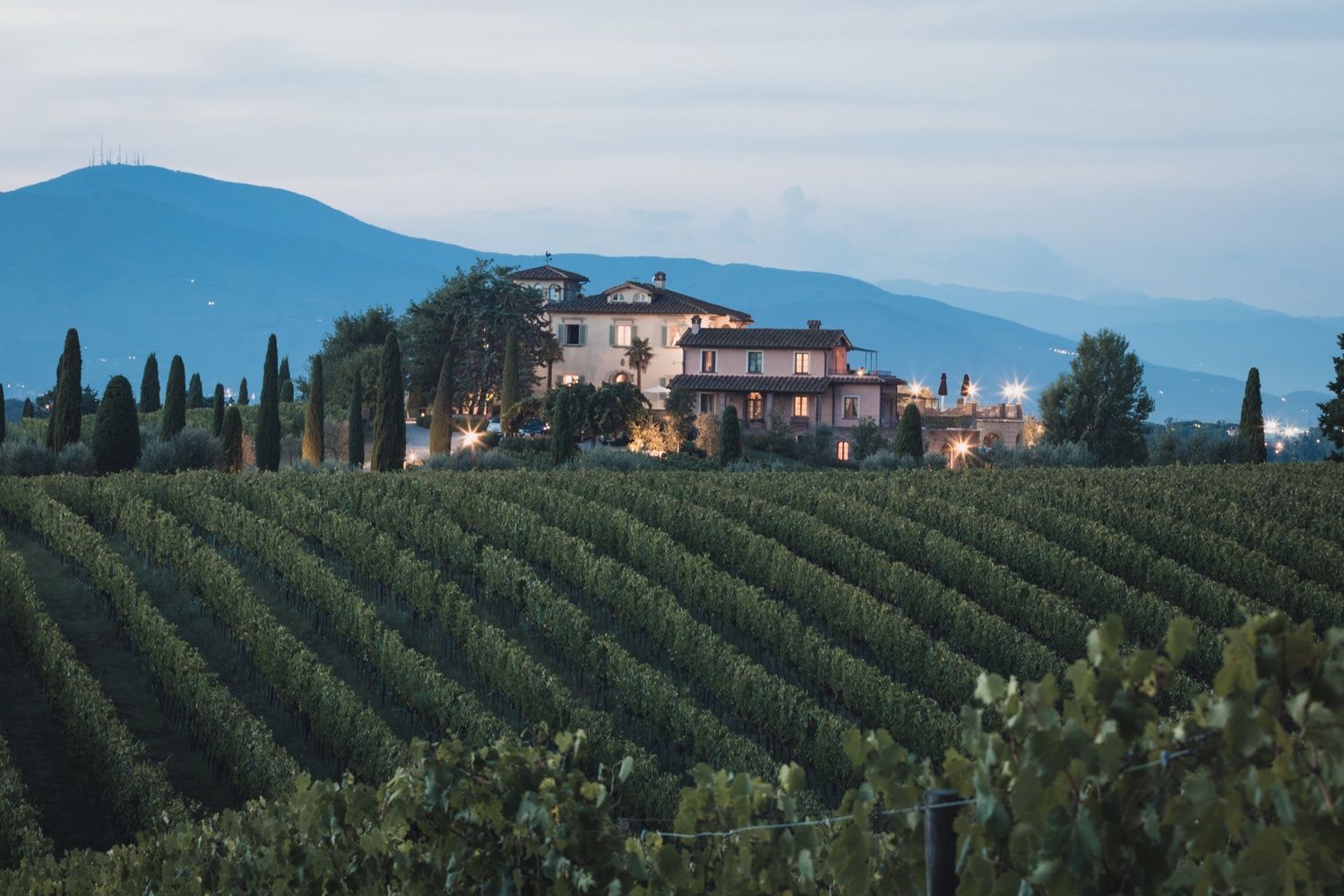 LA CATTURA TOSCANA 2020 (ORGANIC)