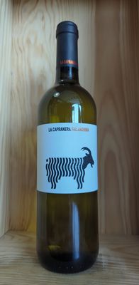 LA CAPRANERA FALANGHINA CAMPANIA 2023