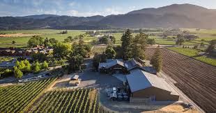 Sequoia Grove, Bezel and Resonance Tasting