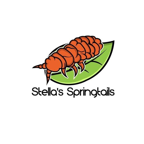 Stella’s Springtails