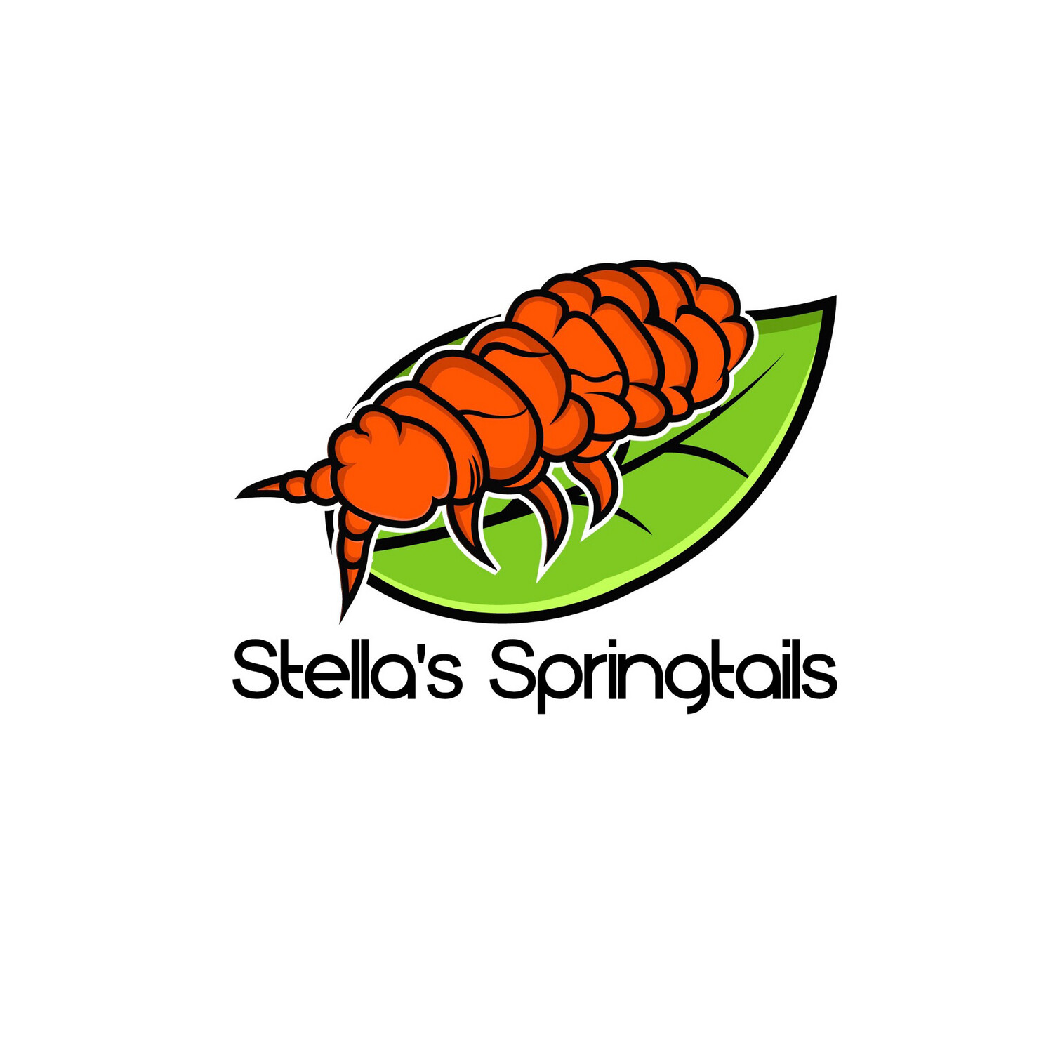 Semi-Aquatic Springtails – Field Station