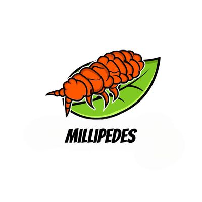 Millipedes
