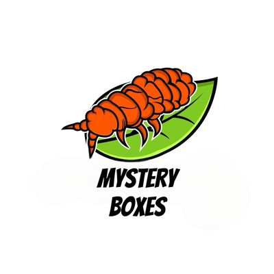 Mystery Box