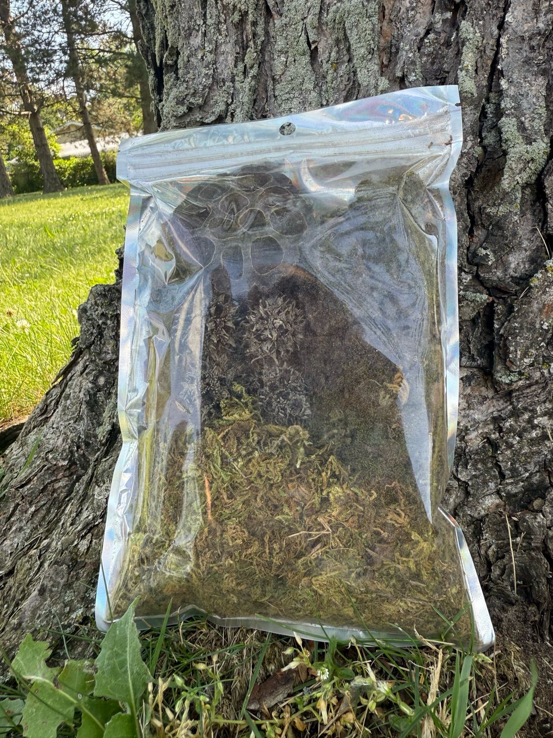Isopod Botanical Kit