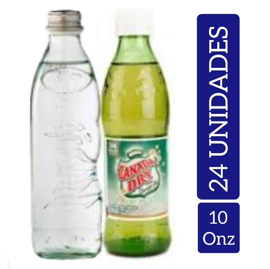POS Ginger 10 ONZ X24