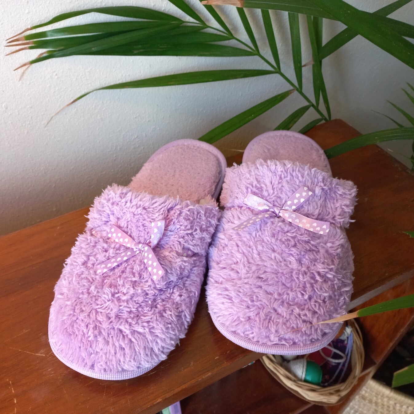 Purple Slippers | 5/6