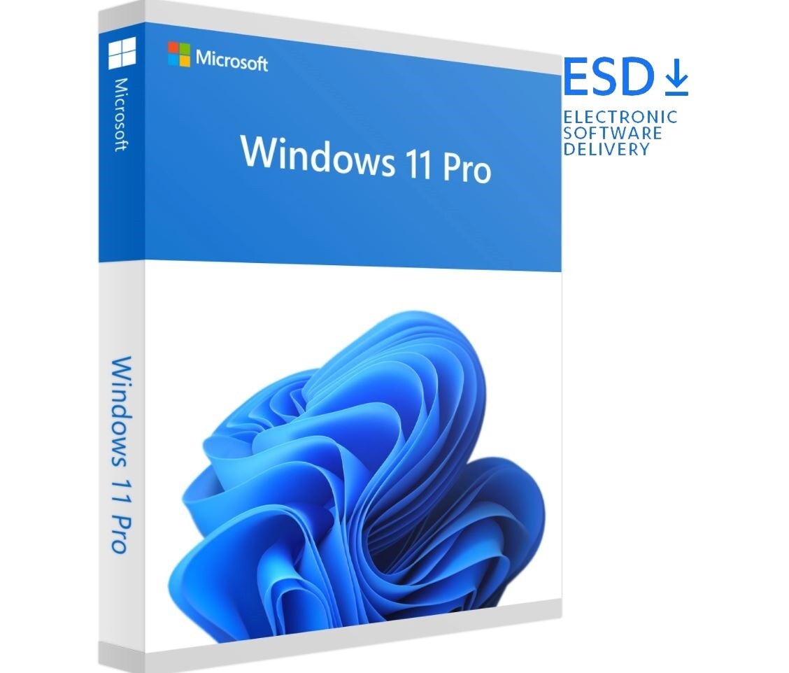 Microsoft Windows 11 Pro 64-bit | OEM | Dauerlizenz | ESD