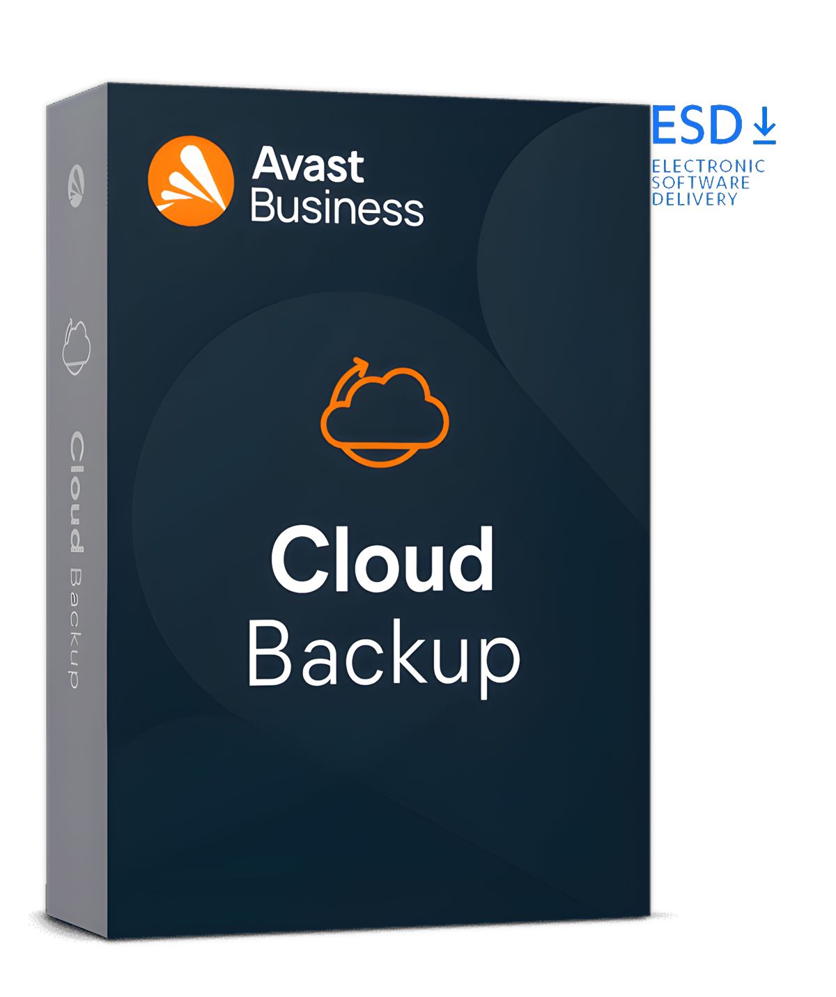 Avast Business Cloud Backup (100 GB) | 1 Gerät/Agent | 1 Jahr | ESD