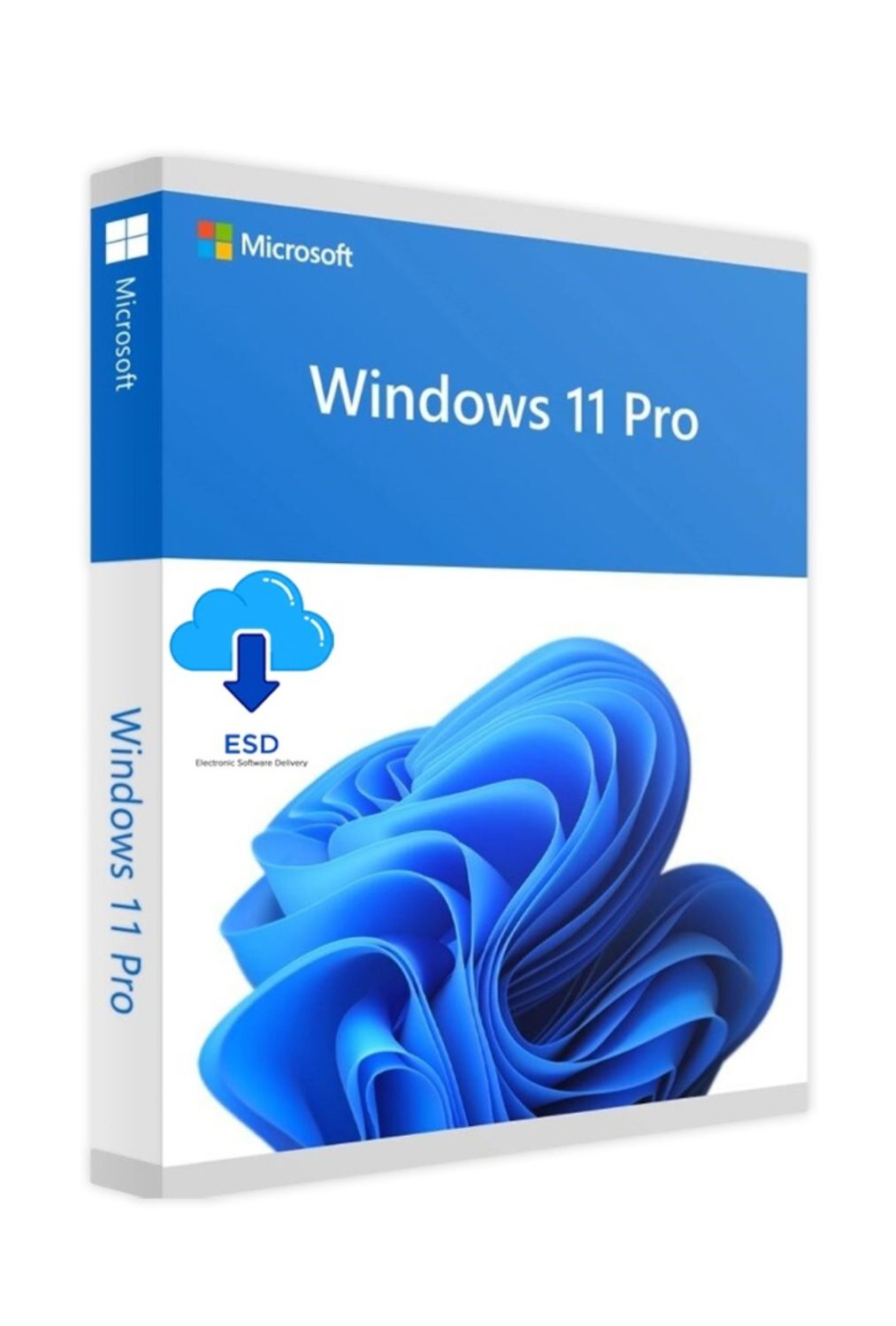 Microsoft Windows 11 Pro 64-bit | OEM | Dauerlizenz (einmaliger Kauf) | ESD