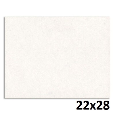 POSTER BOARD-22X28 4 PLY, WHITE