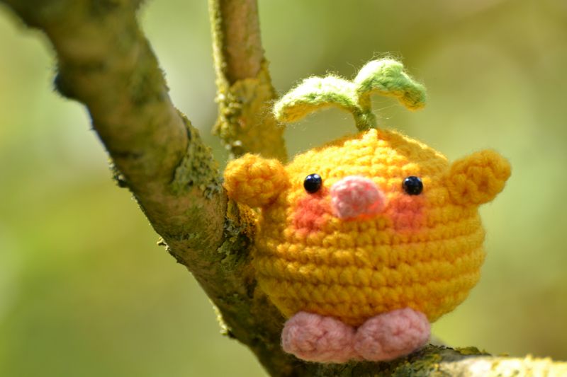 Kleine Ente