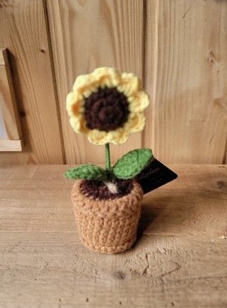 Sonnenblume