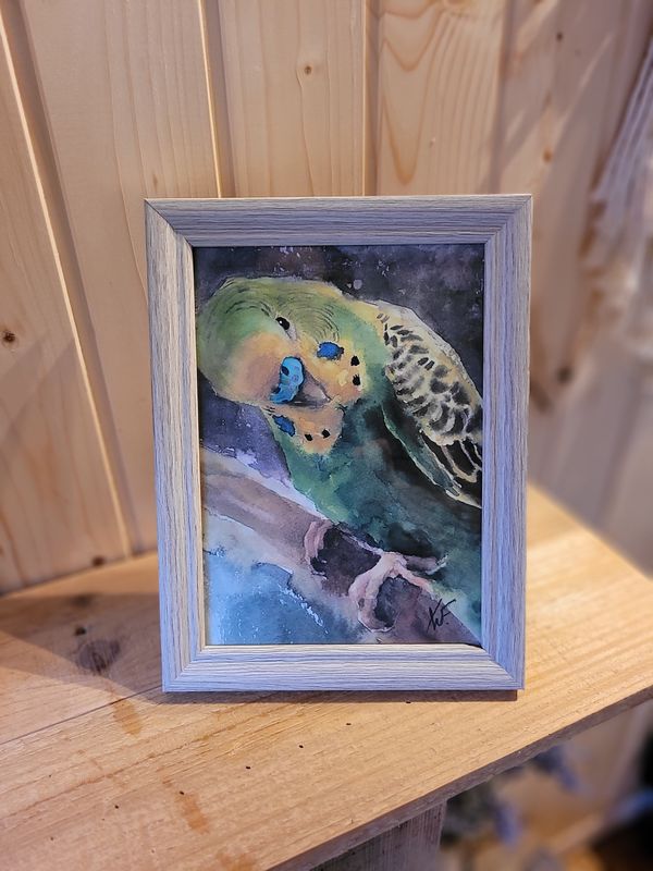 Tierbild &quot;Wellensittich Wilson&quot;