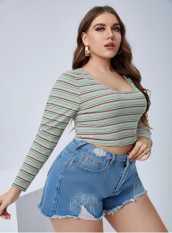 Plus Colorful Striped Scoop Neck Crop Tee