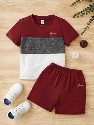 Toddler Boys Colorblock Letter Graphic Tee &amp; Shorts
