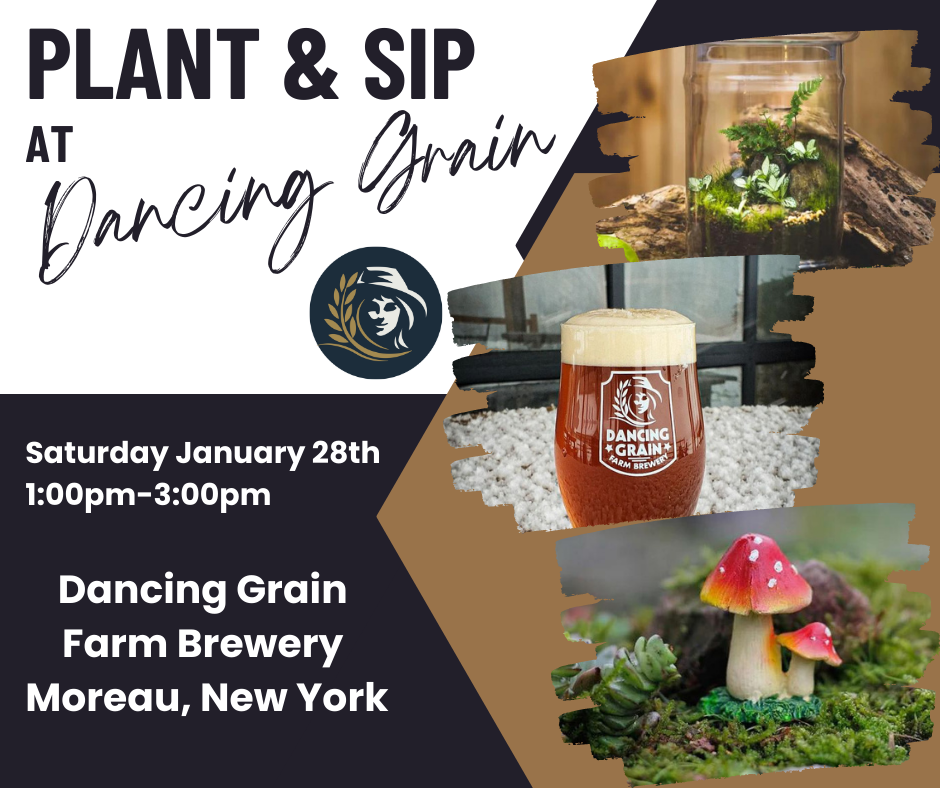 Plant & Sip Dancing Grain