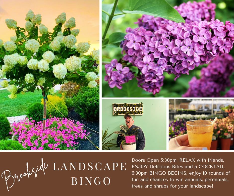 Bingo June- Landscape